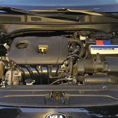 Kia Forte: 2 l | 2019 il