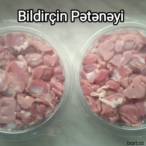Bildirçin Pətənəyi