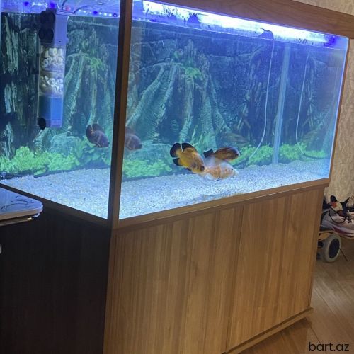 Akvarium/Akvaryum 110/50/55