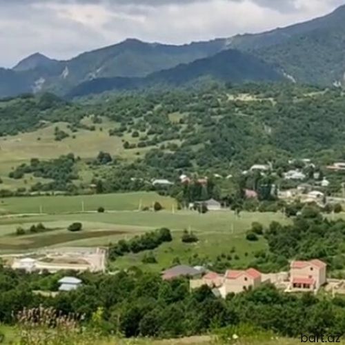 12 sot, Tikinti, Mülkiyyətçi, Kupça (Çıxarış)