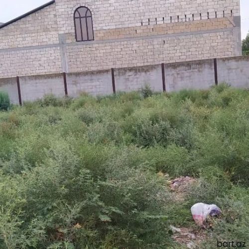 İmişlidə 8 sot torpaq satılır. 