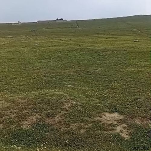  Novxanıda 12 sot  torpaq sahəsi satilir.