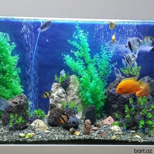 Akvarium altliqida daxil olçü 1.10×60×85.