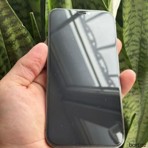 IPhone 12 Pro, Graphite