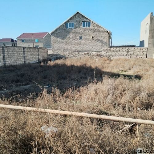 3 sot, Biznes üçün, Mülkiyyətçi, Kupça (Çıxarış),