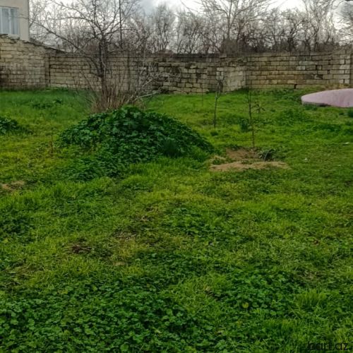 12 sot torpaq satılır