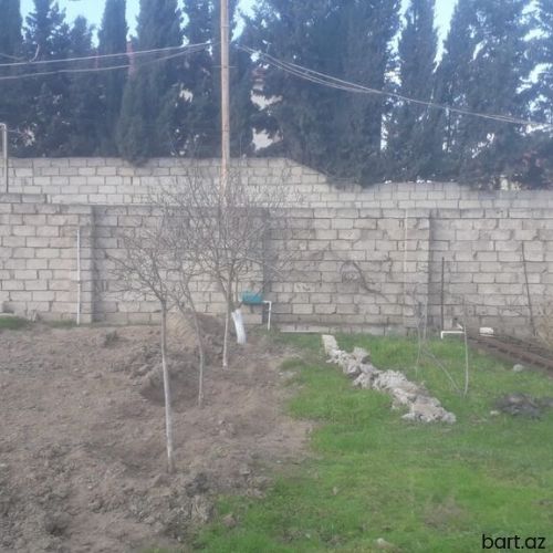 5 sot, Maklerlər narahat etməsin, Kupça (Çıxarış)