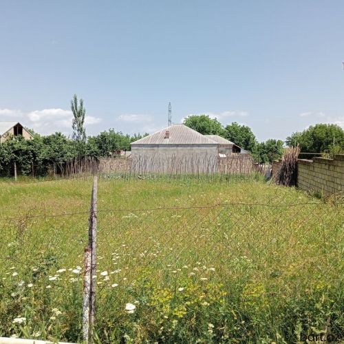 Qubada 8 sot torpaq sahəsi satilir.