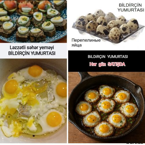 Bildirçin yumurtaSI
