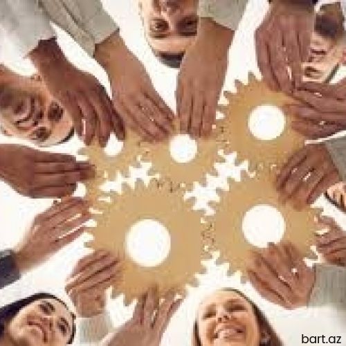 Xanımlar üçün online iş imkanı