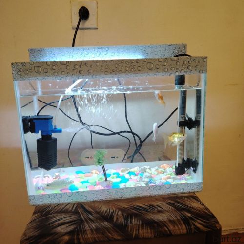 Dördbucaq Akvarium