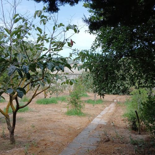 Buzovnada 14 sotda Villa satılır