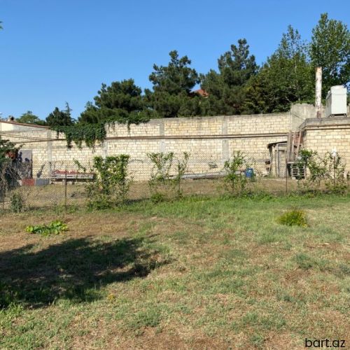 6 sot, Biznes üçün, Mülkiyyətçi, Kupça (Çıxarış)