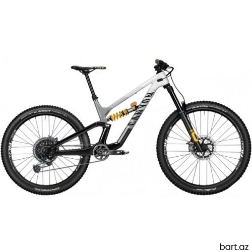 2024 Canyon Torque CF CLLCTV FW Mountain Bike