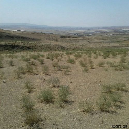 Təcili satıram
