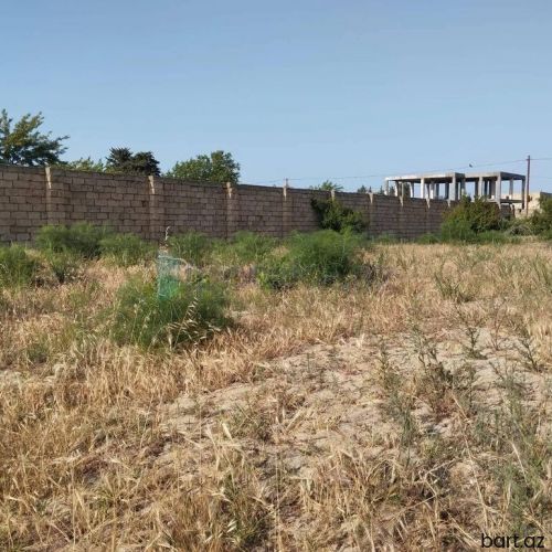 4 sot, Mülkiyyətçi, Kupça (Çıxarış)