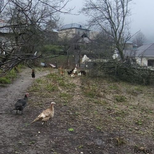 Qaxda, Uludagin yaninda 7 sot torpaq satilir