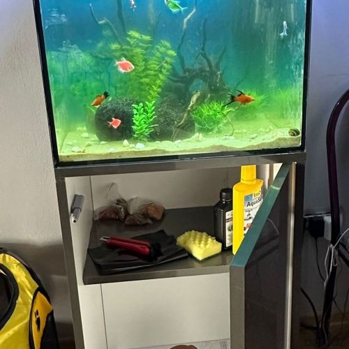 Akvarium 