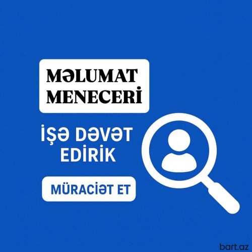 Məlumat meneceri 