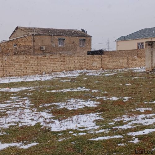 Buzovnada  torpa 