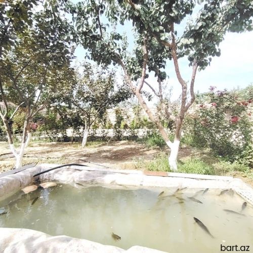 2 otaqlı həyət evi satılır