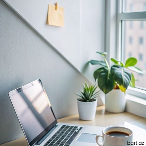 Yalnız xanımlar üçün online iş.