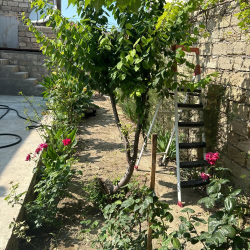 Buzovnada 5otaqlı həyət evi satılır