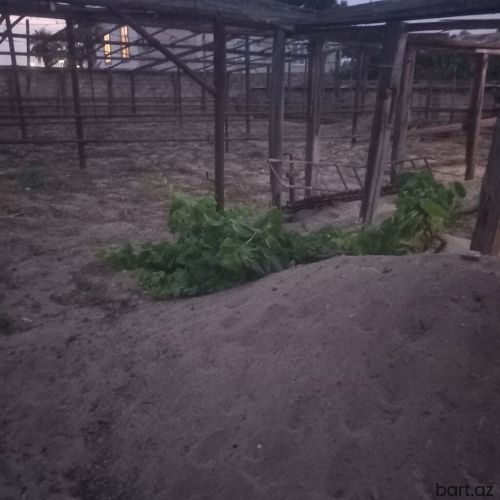 Binə.qəs-də 8 sot torpaq sahəsi satilir.