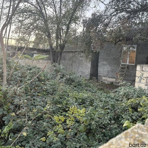 İmişli rayonunda 1 sot torpaq satilir.
