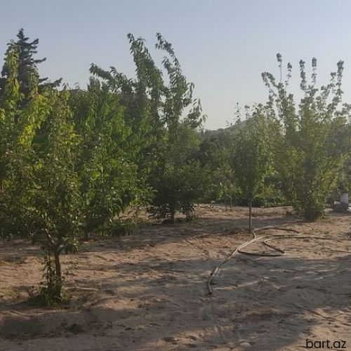 Novxanida 10 sot torpaq sahəsi satilir.