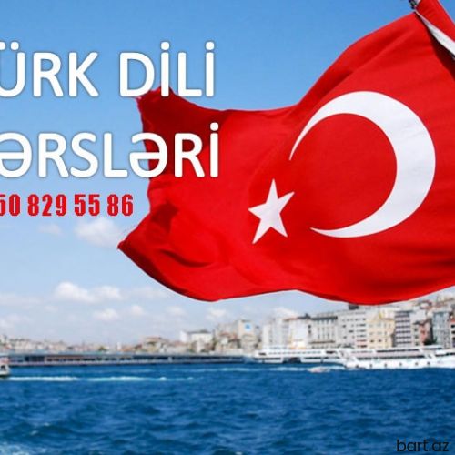 Türk dili kursları