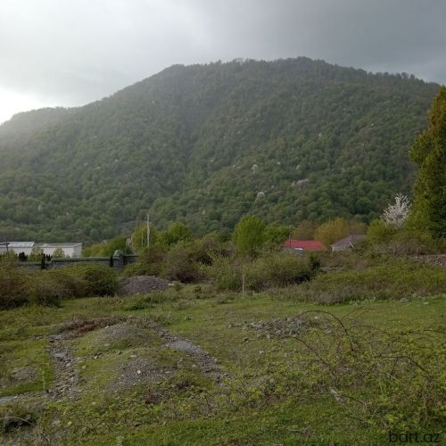 Qəbələdə 8 sot torpaq sahəsi satilir.
