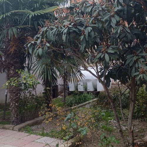 4 otaqlı həyət evi satılır