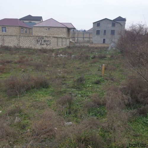 6 sot, Tikinti, Mülkiyyətçi, Kupça (Çıxarış)