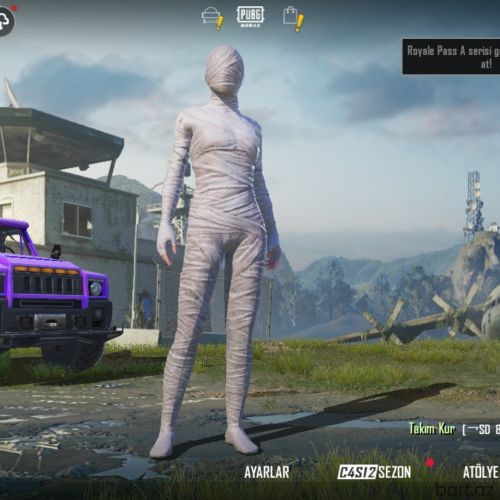 Pubg Mobile