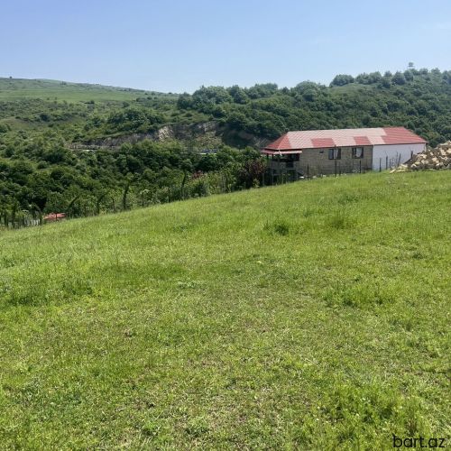 Şamaxi rayonunda 6  sot torpaq sahəsi satilir.