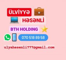BTH Holding